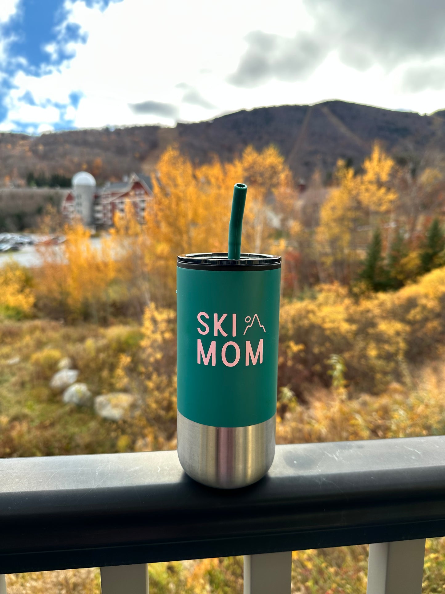 16 oz. Insulated Tumbler with Straw